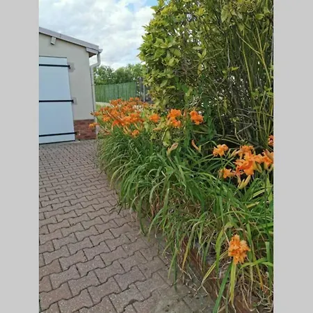 Duplex 1Ere Etage D'Un Pavillon En Centre Ville 公寓 *