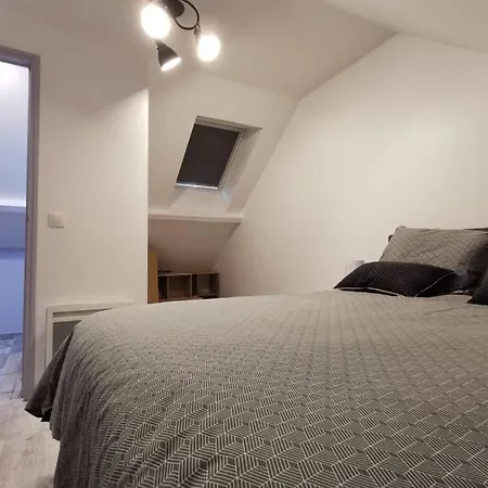 Duplex 1Ere Etage D'Un Pavillon En Centre Ville 公寓 Le Plessis-Belleville
